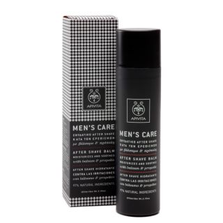 BestPharmacy.gr - Photo of Apivita Mens Care After Shave