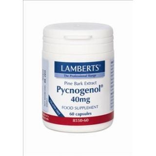 BestPharmacy.gr - Photo of Lamberts Pycnogenol 40mg 60 Caps