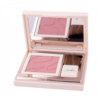 Bionike Defence Color Pretty Touch Compact Ρουζ Nr.303 Bois De Rose 5gr