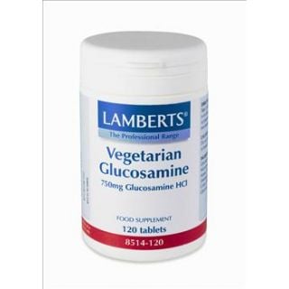 BestPharmacy.gr - Photo of Lamberts Vegeterian Glucosamine 750mg 120 Tabs