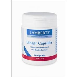 BestPharmacy.gr - Photo of Lamberts Ginger 120mg 60 Caps