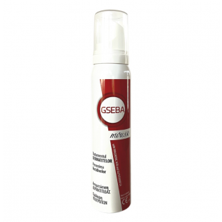 Meditrina Gseba Mousse 100ml Αφρός για την Αντιμετώπιση της Δερματίτιδας 