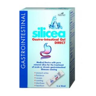 Hubner Silicea Gastro-Intestinal Gel DIRECT 6 x 15ml