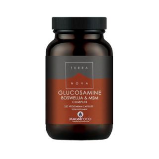 Terranova Glucosamine, Boswellia & ΜSM Complex - Joint Support 100 Caps