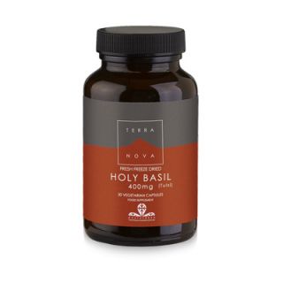 Terranova Holy Basil 400mg 50 Caps Improves Mood