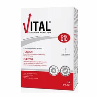 Vital Plus Q10 14 Caps